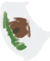 Ilustración de un ojo con cejas y una hoja verde.