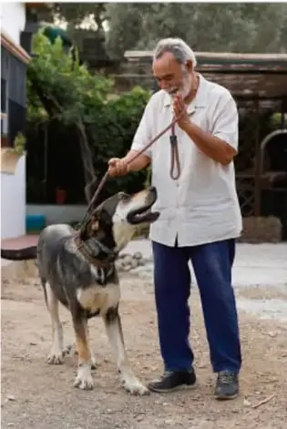 Persona adulta mayor paseando a un perro pastor alemán en un patio de tierra.