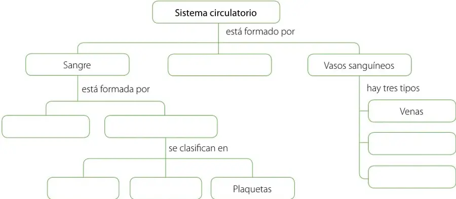 Tabla vacía de 4 filas (Nivel, Estructura, Descripción, Ejemplo) y 5 columnas numeradas 1 a 5 para completar.