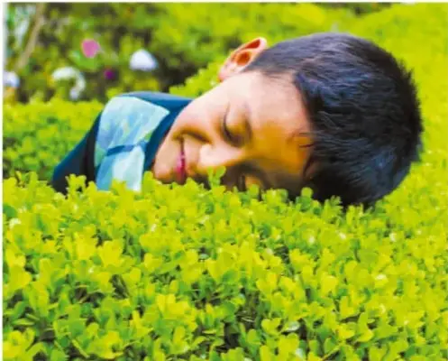 Fotografía de un niño recostado sobre un cantero de flores amarillas, con los ojos cerrados, en actitud de descanso o contemplación de la naturaleza.