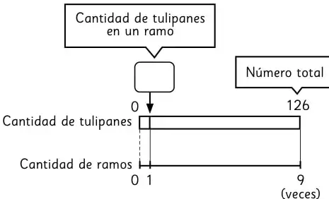 Diagrama de barras con cantidad de tulipanes por ramo (?) y cantidad de ramos (9), total 126.