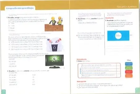 Muestra páginas relacionadas con un proyecto interdisciplinario y la competencia digital.