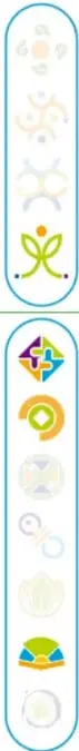 Franja vertical con los íconos de las competencias y los programas del ciclo escolar.