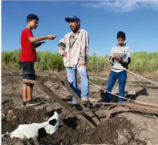 Fotografía de dos estudiantes y un adulto trabajando la tierra con un arado tirado por animales en un campo, junto a un perro blanco y negro.