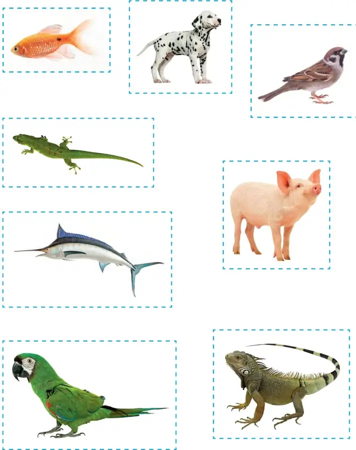 Figura 1 de Ciencias Naturales – Segundo Básico | Texto del Estudiante MINEDUC – Descargar PDF · 2024