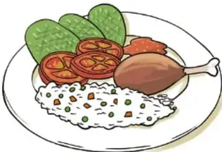 Plato con arroz, nopales, jitomate y una pierna de pollo, ejemplo de comida del Plato del Bien Comer. Crédito: Carlos Enrique Villareal Morales, Veracruz.