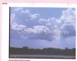 Figura 1 de Ciencias Naturales 8° · Egb 8 Ciencias Naturales 2025 · 2025