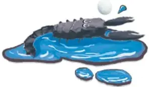Alacrán sobre un charco de agua azul.
