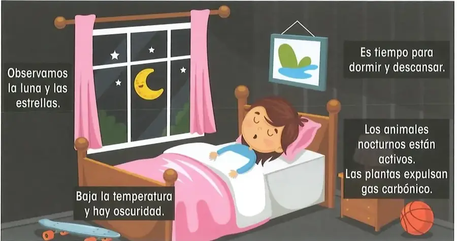 Ilustración de una escena nocturna: se observan la Luna y las estrellas por la ventana; una niña duerme y se mencionan la baja temperatura, los animales nocturnos y las plantas.