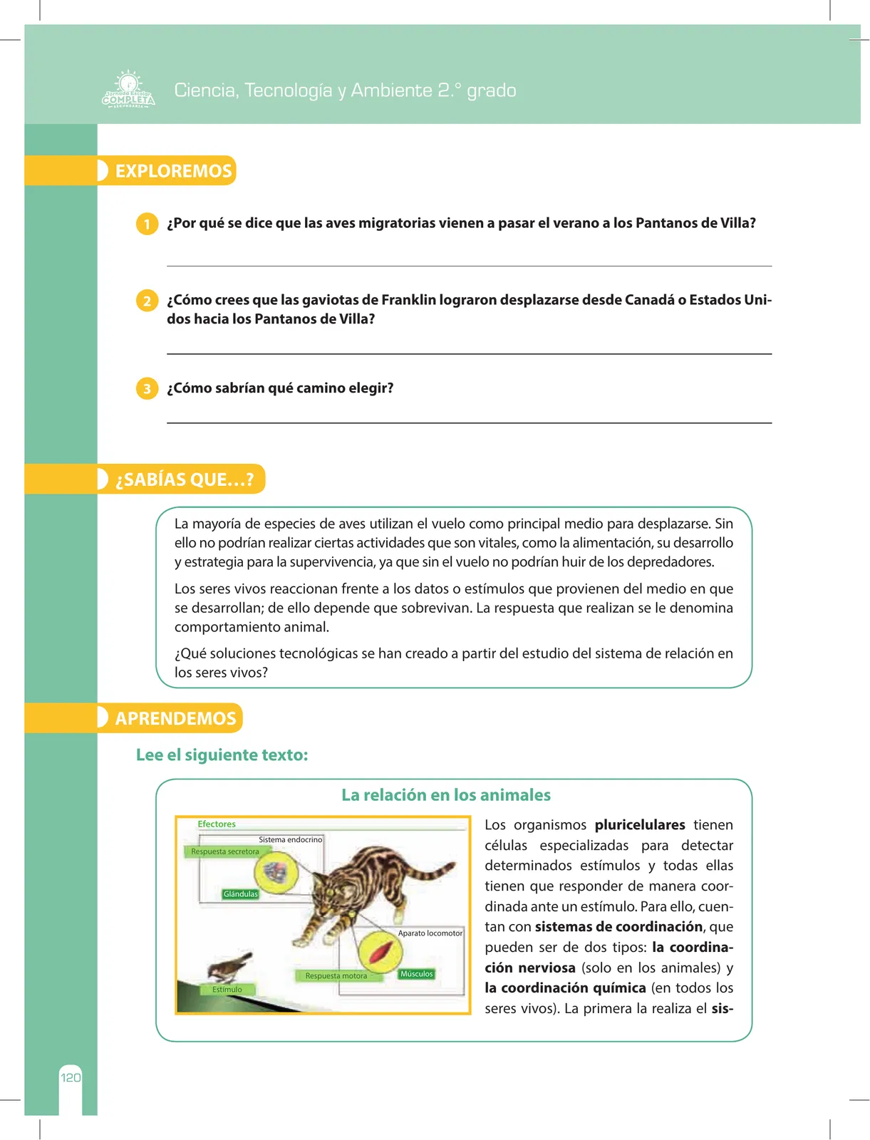 Miniatura página 120 de Ciencia, Tecnología y Ambiente 2 : cuaderno de reforzamiento pedagógico - JEC · 2016