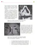 Miniatura página 265 de Colección Nanahuatzin. Lenguajes.   Libro de Educación Secundaria Grado 3°  Ciclo Escolar 2025 - 2026