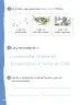 Miniatura página 137 de Lenguaje y Comunicación – Primero Básico | Texto del Estudiante MINEDUC – Descargar PDF · 2024