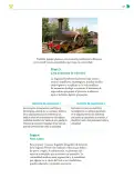Miniatura página 226 de Colección Nanahuatzin. Nuestro libro de Proyectos.  Tomo II.  Libro de Educación Telesecundaria Grado 3°  Ciclo Escolar 2025 - 2026