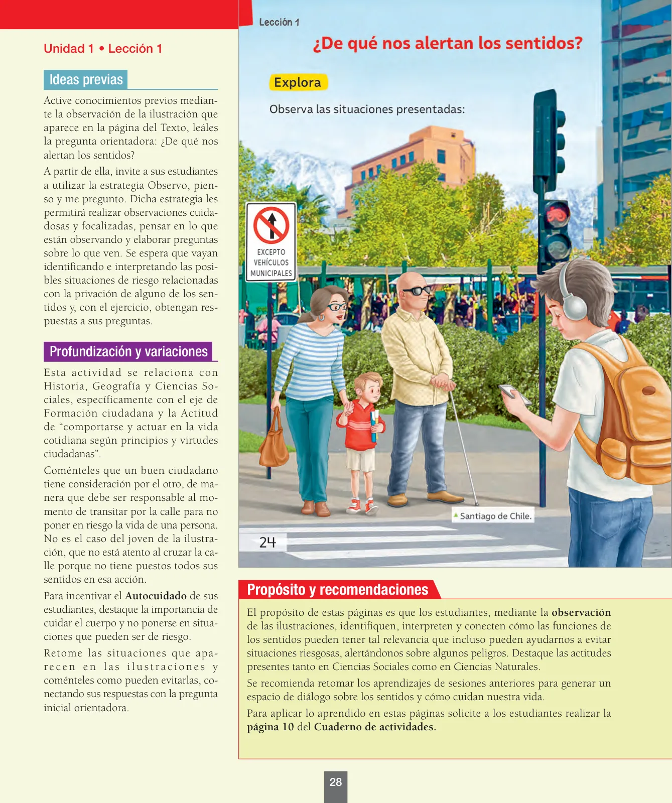 Miniatura página 29 de Ciencias Naturales – Primero Básico | Texto del Estudiante (MINEDUC) – Descargar PDF · 2024
