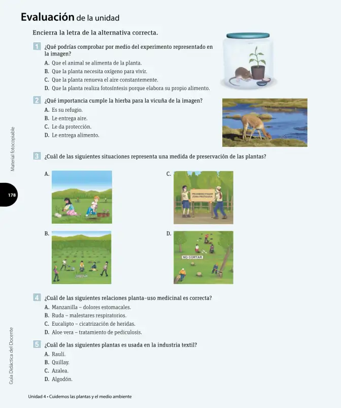 Página 121 de Ciencias Naturales – Tercero Básico | Texto del Estudiante MINEDUC – Descargar PDF · 2024