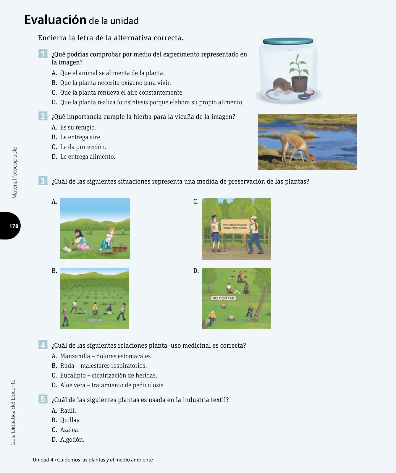 Miniatura página 121 de Ciencias Naturales – Tercero Básico | Texto del Estudiante MINEDUC – Descargar PDF · 2024