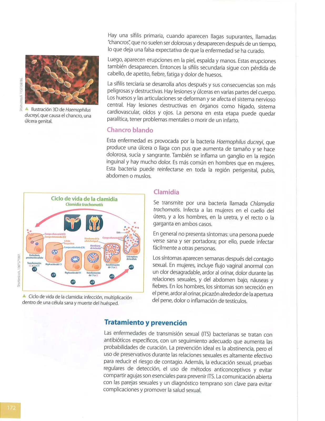 Página 171 de Ciencias Naturales · 8 EGB · 2025