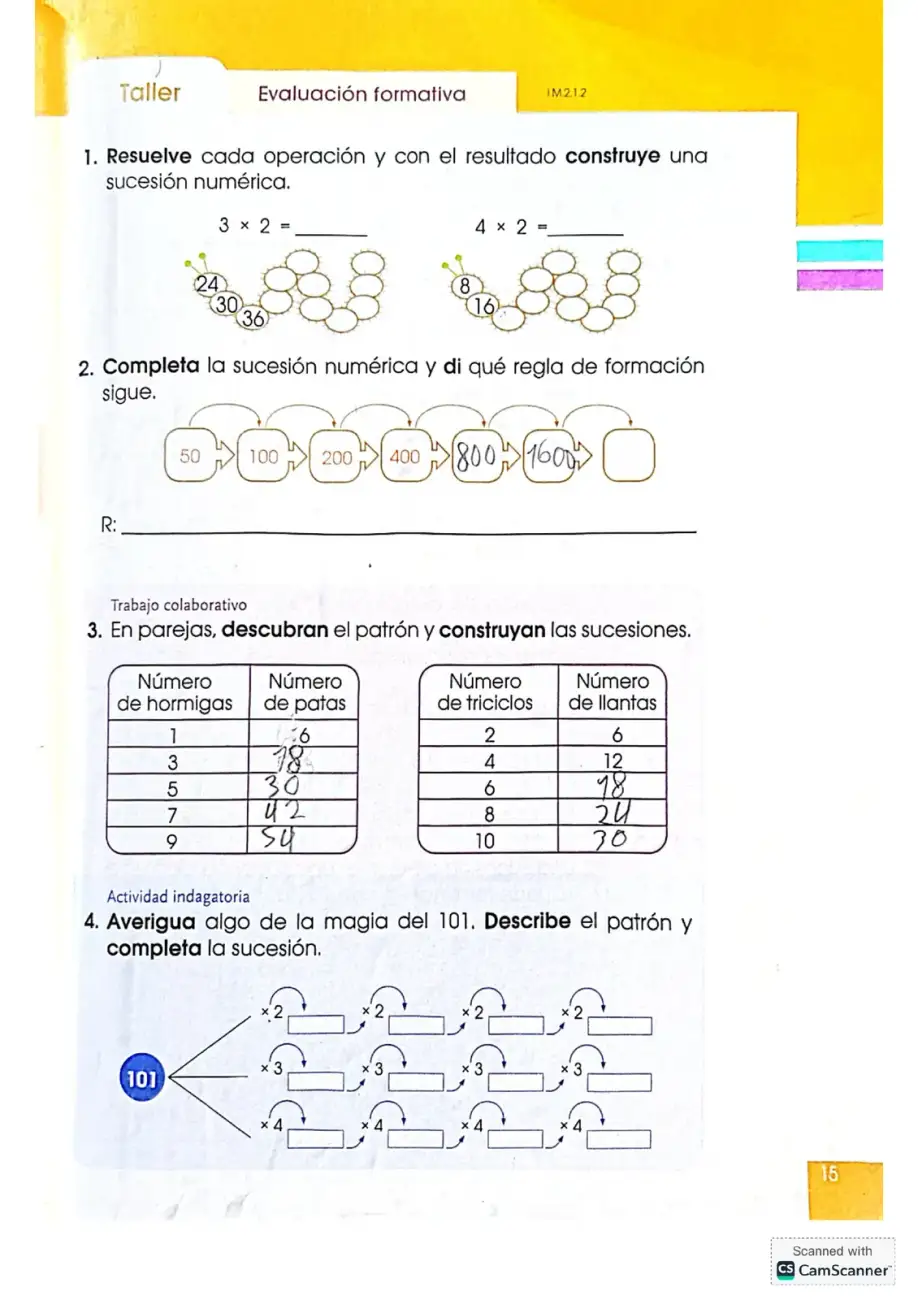 Página 15