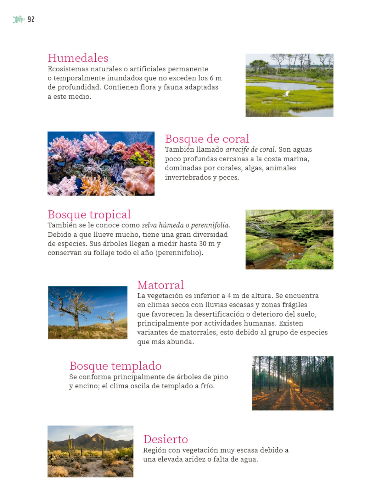 Página 93 de Nuestros saberes: Libro para alumnos, maestros y familia. Libro de Educación Primaria Grado 5° Ciclo Escolar 2025 - 2026