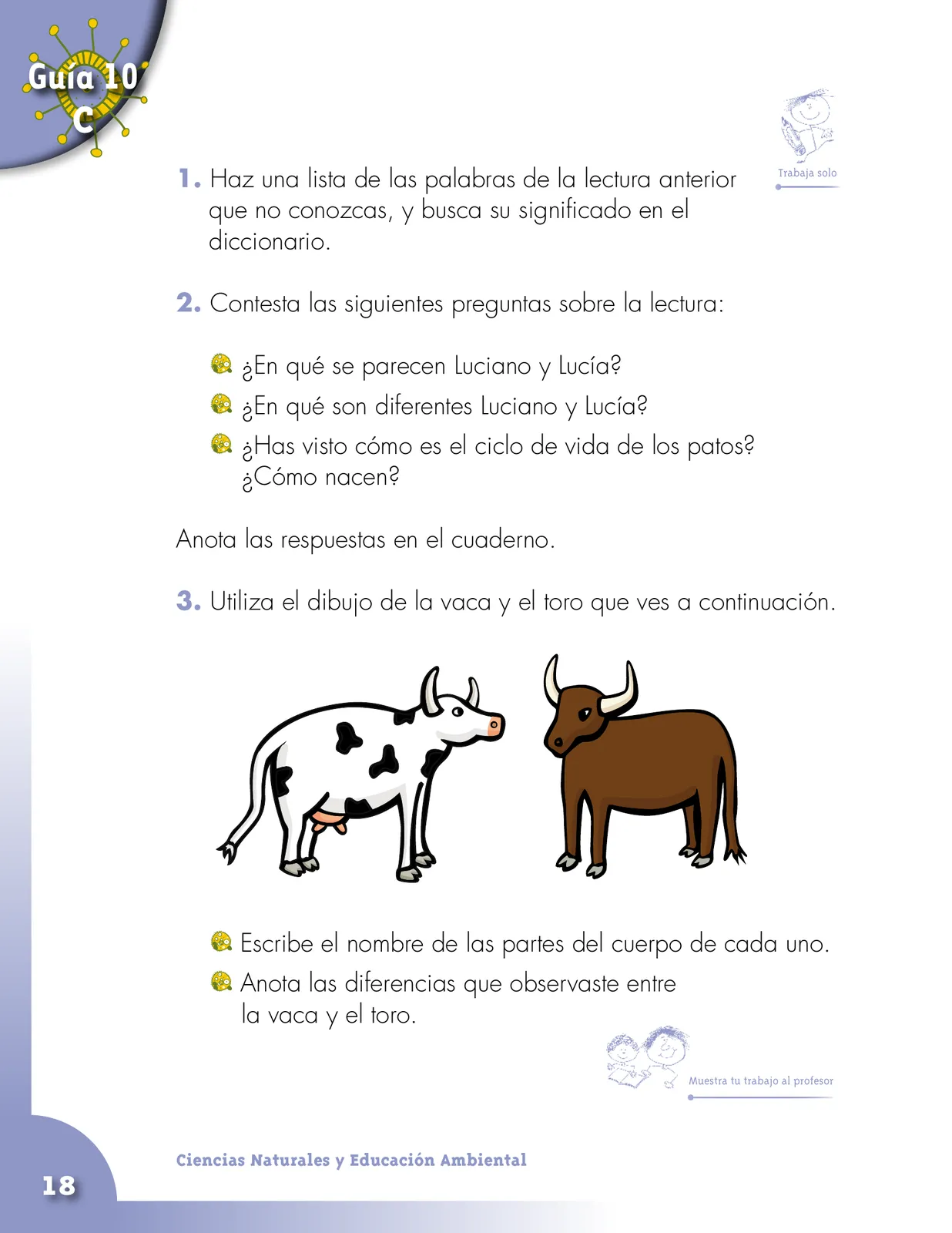 Página 18