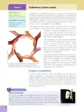 Miniatura página 26 de Estudios Sociales 6° · Egb 6 Estudios Sociales 2025 · 2025