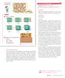 Miniatura página 25 de Sumo Primero – Segundo Básico | Texto del Estudiante MINEDUC – Descargar PDF · 2024