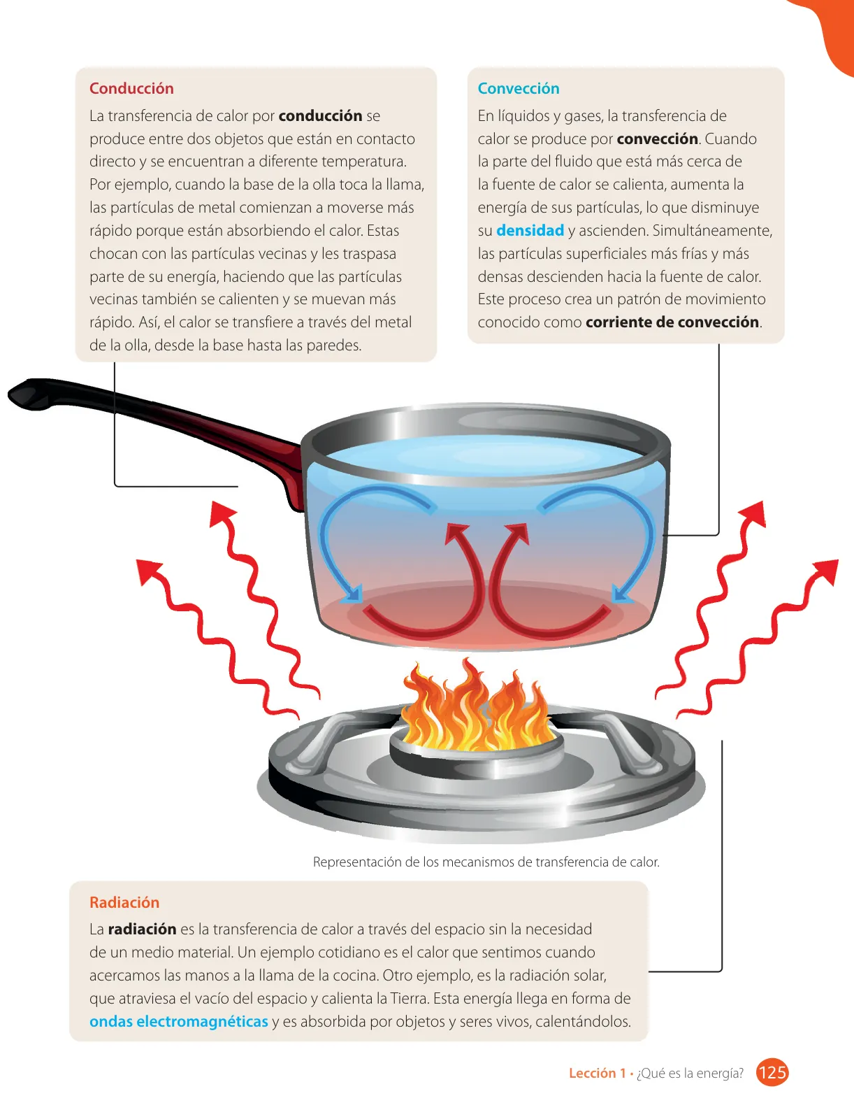 Página 127 de Libro de Ciencias Naturales – Quinto Básico | Texto del Estudiante MINEDUC – Descargar PDF · 2024