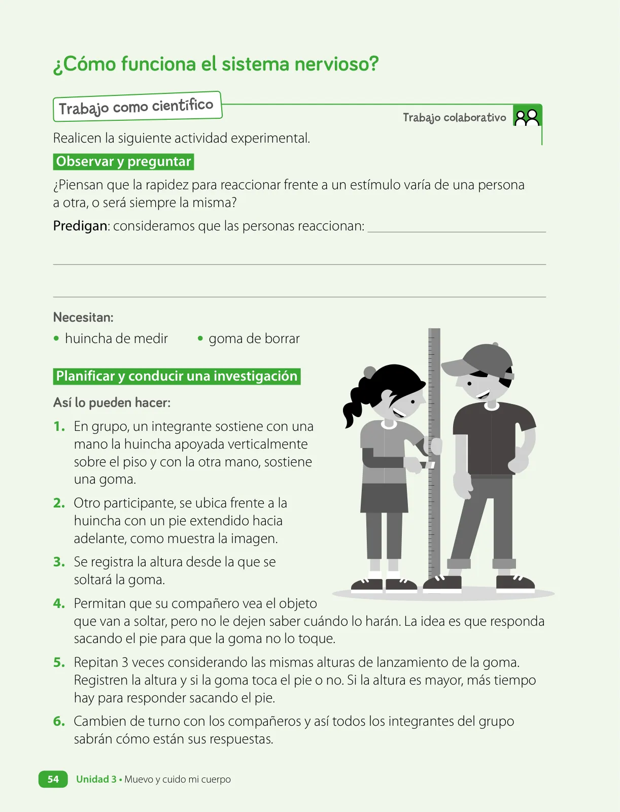 Página 56 de Ciencias Naturales – Cuarto Básico | Texto del Estudiante MINEDUC – Descargar PDF · 2024