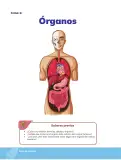 Miniatura página 89 de Biologia 3° · Bgu 3 Biologia 2024 · 2024