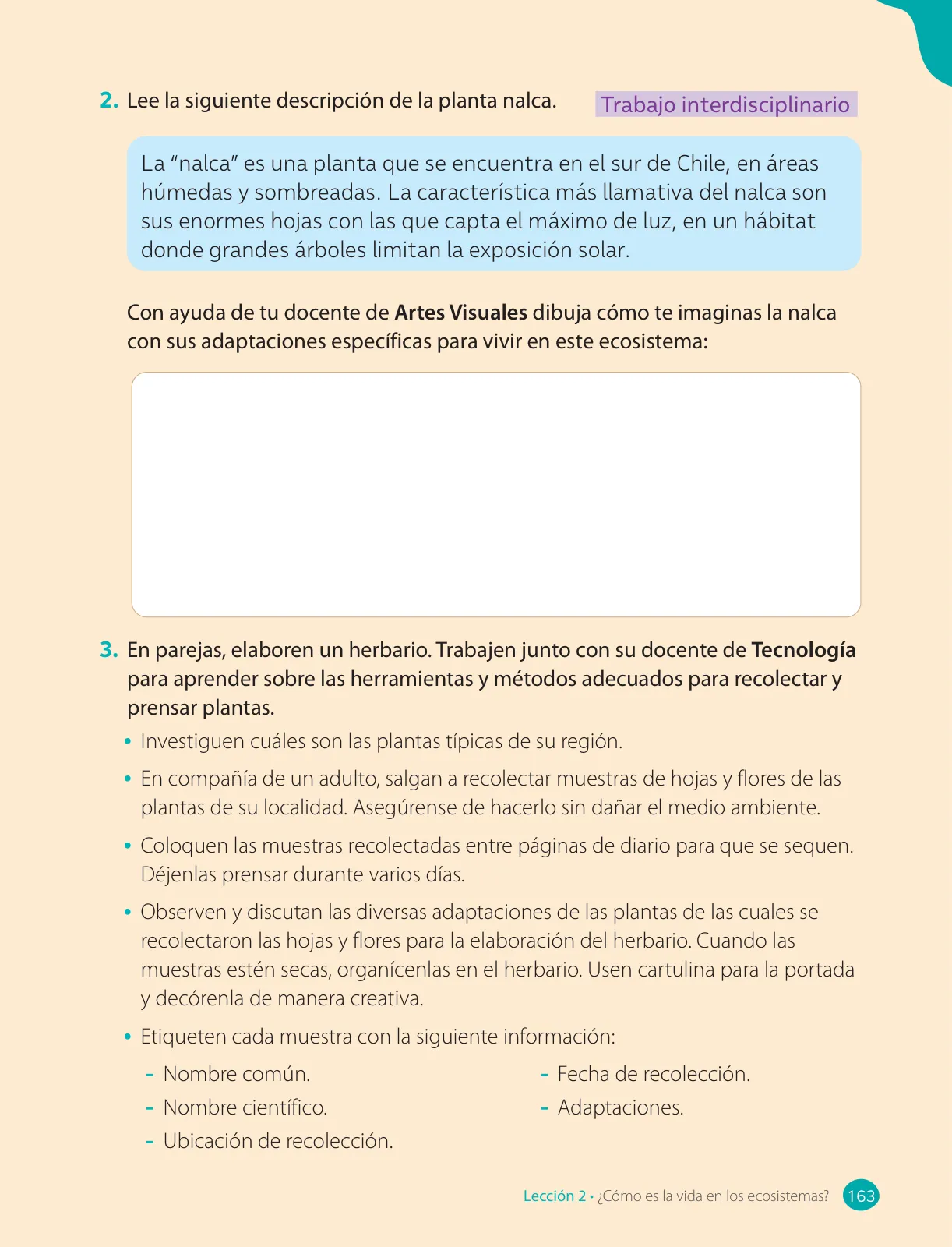 Página 165 de Ciencias Naturales – Cuarto Básico | Texto del Estudiante MINEDUC – Descargar PDF · 2024