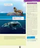 Miniatura página 140 de Ciencias Naturales – Primero Básico | Texto del Estudiante (MINEDUC) – Descargar PDF · 2024