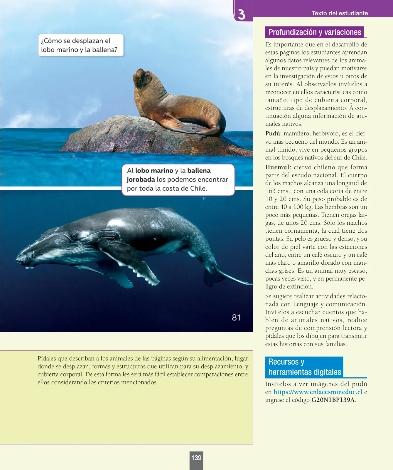 Miniatura página 140 de Ciencias Naturales – Primero Básico | Texto del Estudiante (MINEDUC) – Descargar PDF · 2024