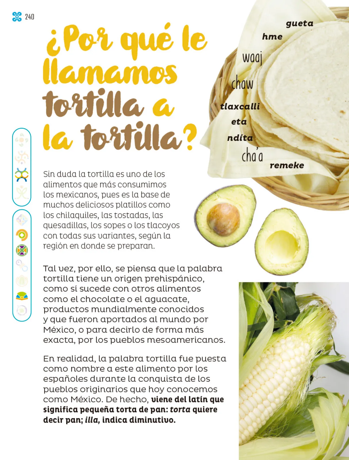 Miniatura página 241 de Múltiples lenguajes.   Libro de Educación Primaria Grado 2°  Ciclo Escolar 2025 - 2026