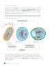 Miniatura página 60 de Libro de Ciencias Naturales – Quinto Básico | Texto del Estudiante MINEDUC – Descargar PDF · 2024