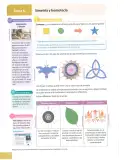 Miniatura página 196 de Matematica 8° · Egb 8 Matematica 2025 · 2025