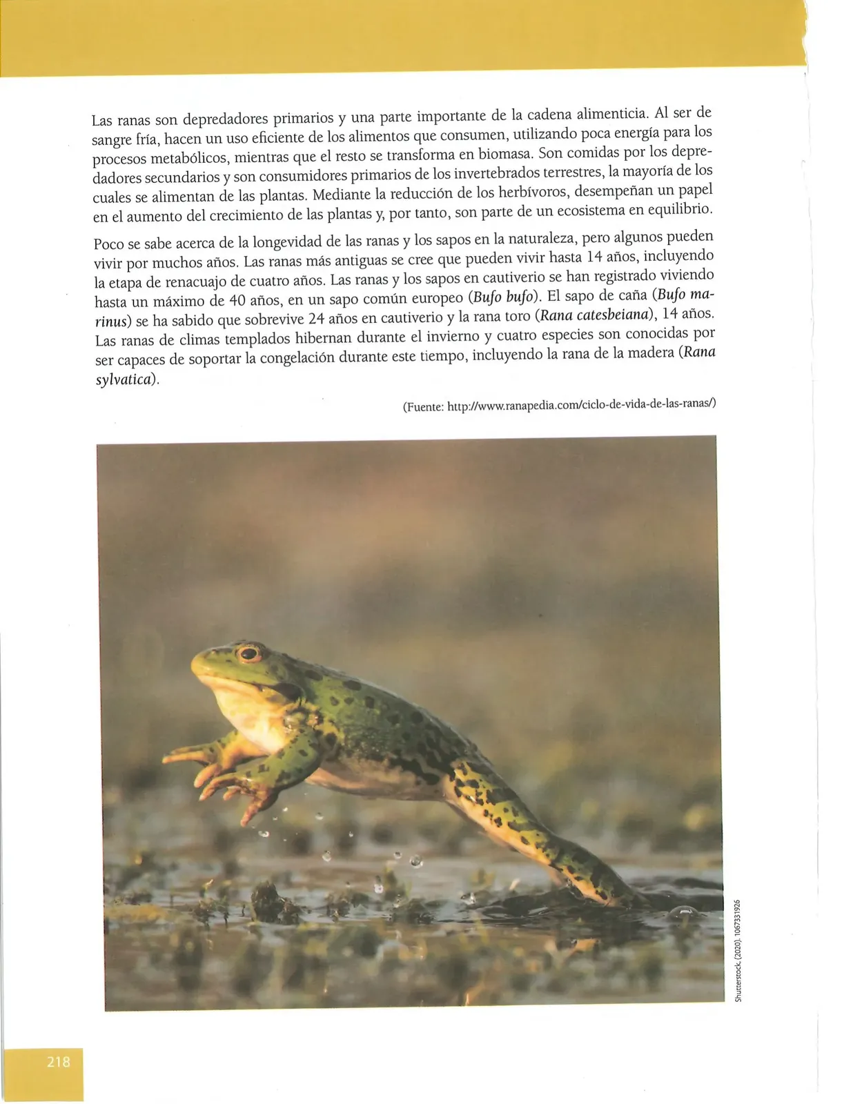 Página 218 de Lengua Y Literatura · 8 EGB · 2025
