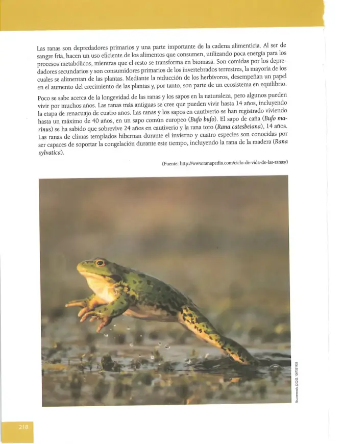 Página 218 de Lengua Y Literatura 8° · Egb 8 Lengua Y Literatura 2025 · 2025