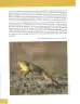 Miniatura página 218 de Lengua Y Literatura 8° · Egb 8 Lengua Y Literatura 2025 · 2025