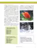 Miniatura página 177 de Ciencias Naturales 6° · Secundaria Activa