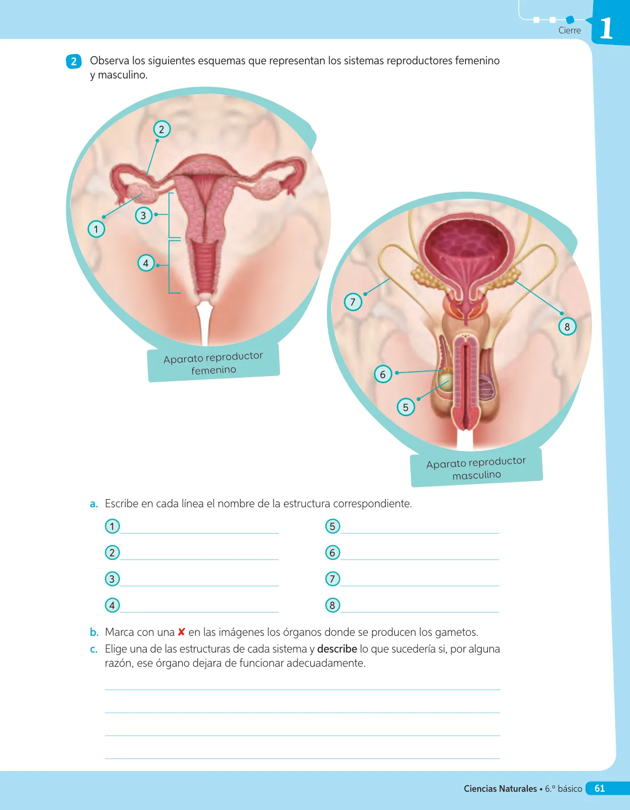 Página 138 de Libro de Ciencias Naturales – Quinto Básico | Texto del Estudiante MINEDUC – Descargar PDF · 2024