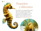 Miniatura página 121 de Múltiples lenguajes.   Libro de Educación Preescolar Grado 2°  Ciclo Escolar 2025 - 2026