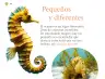 Miniatura página 121 de Múltiples lenguajes.   Libro de Educación Preescolar Grado 2°  Ciclo Escolar 2025 - 2026