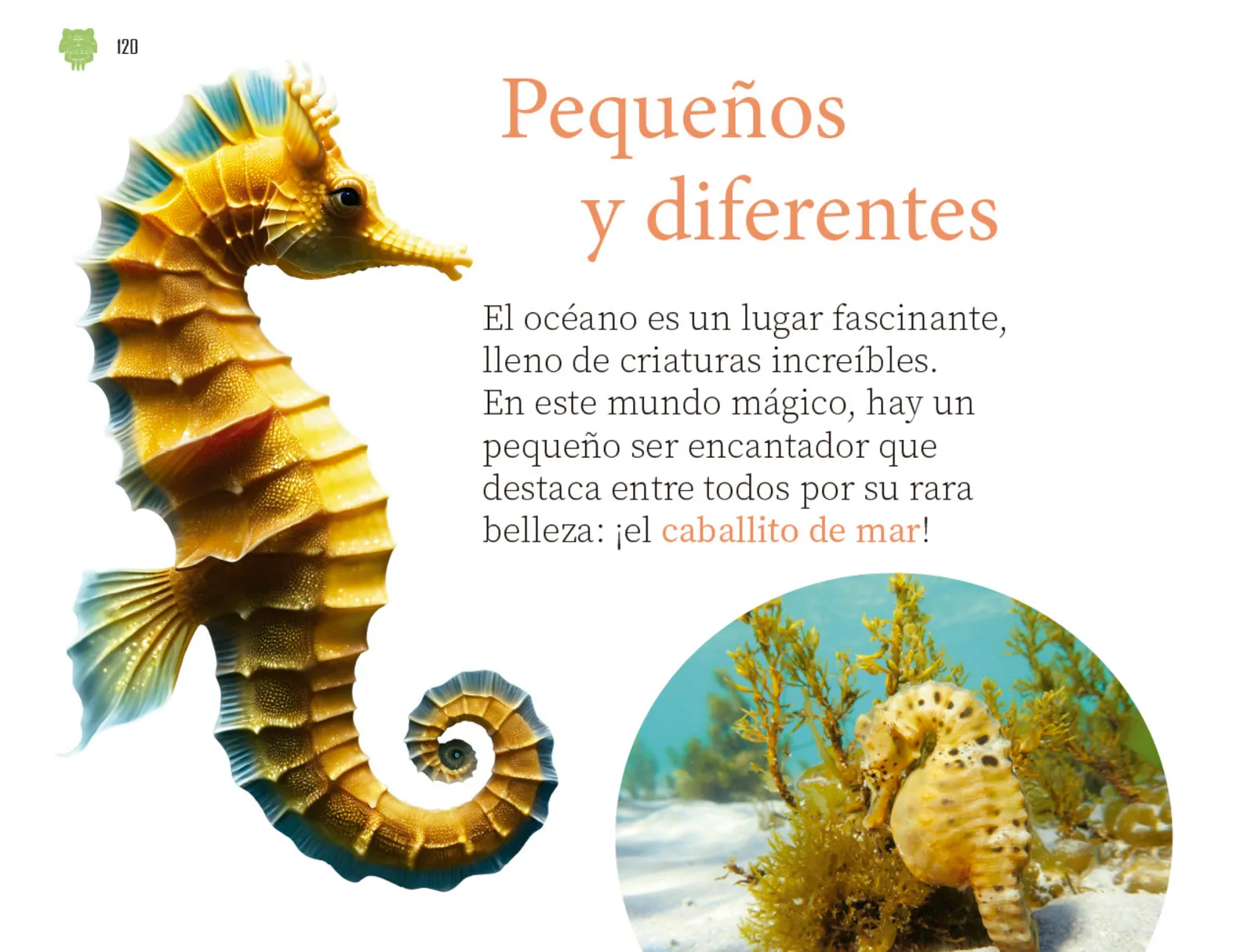Miniatura página 121 de Múltiples lenguajes.   Libro de Educación Preescolar Grado 2°  Ciclo Escolar 2025 - 2026