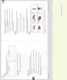 Miniatura página 115 de Inglés – Séptimo Básico | Student’s Book MINEDUC – Descargar PDF · 2024
