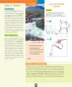 Miniatura página 13 de Ciencias Naturales – Segundo Básico | Texto del Estudiante MINEDUC – Descargar PDF · 2024