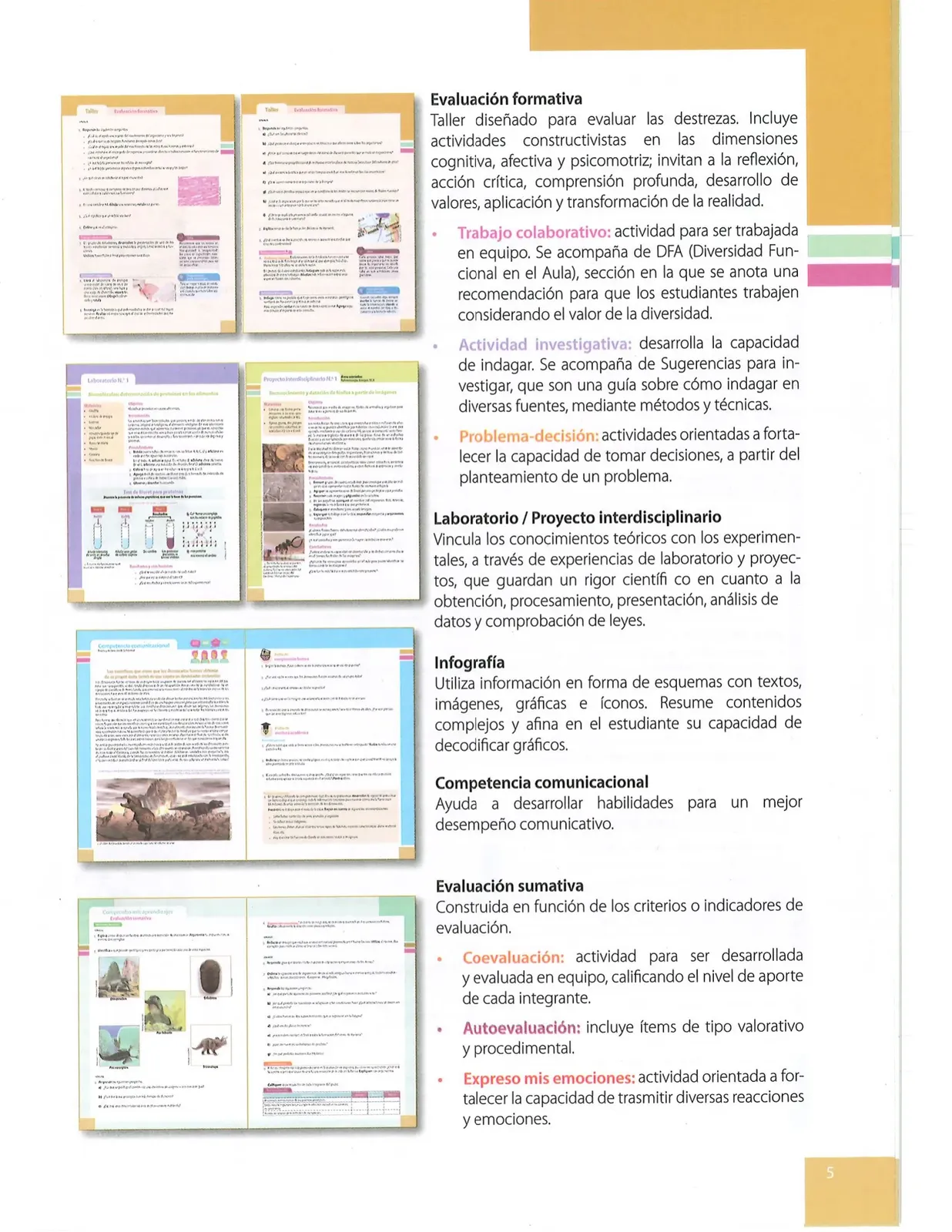 Página 4 de Ciencias Naturales · 10 EGB · 2024