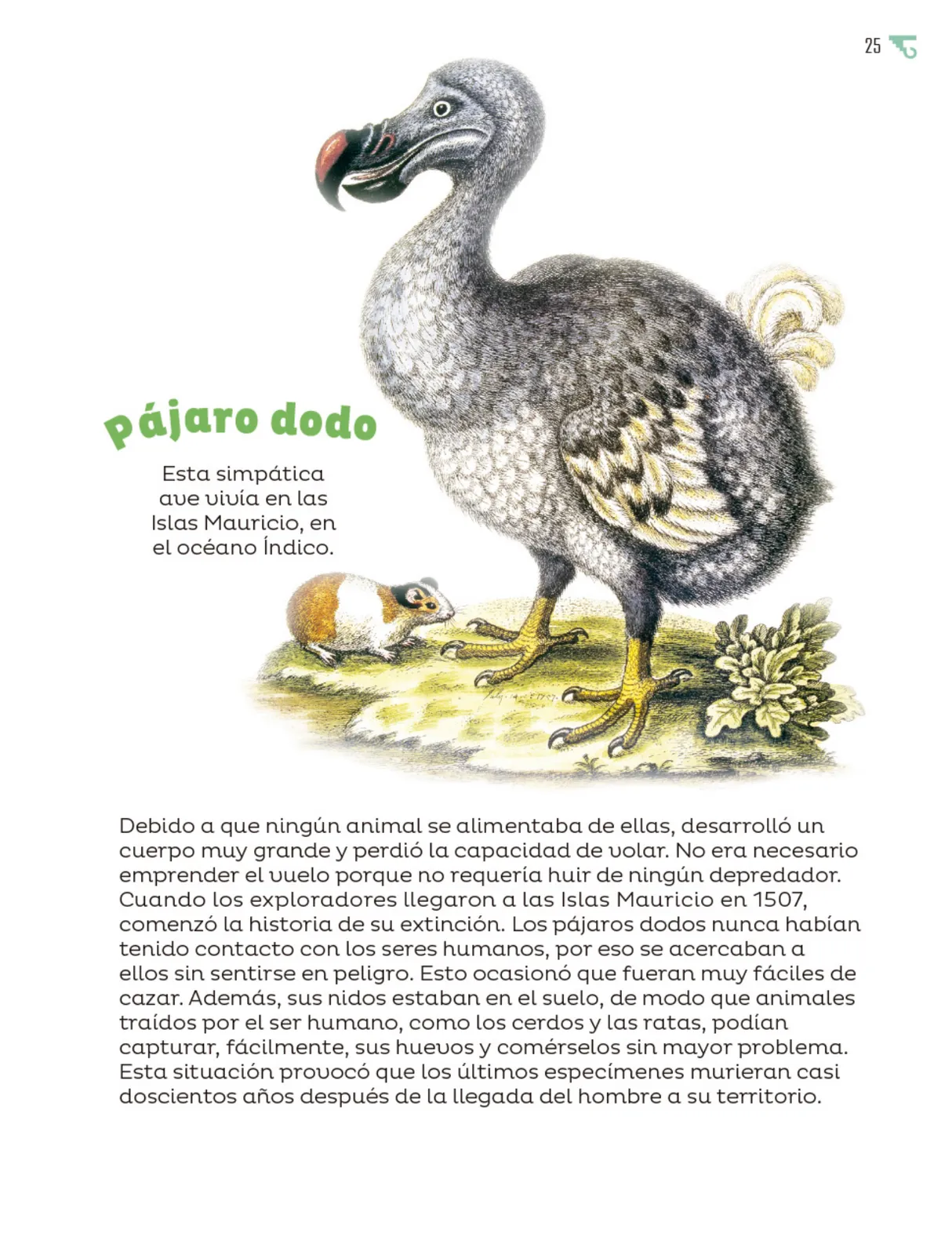 Página 26