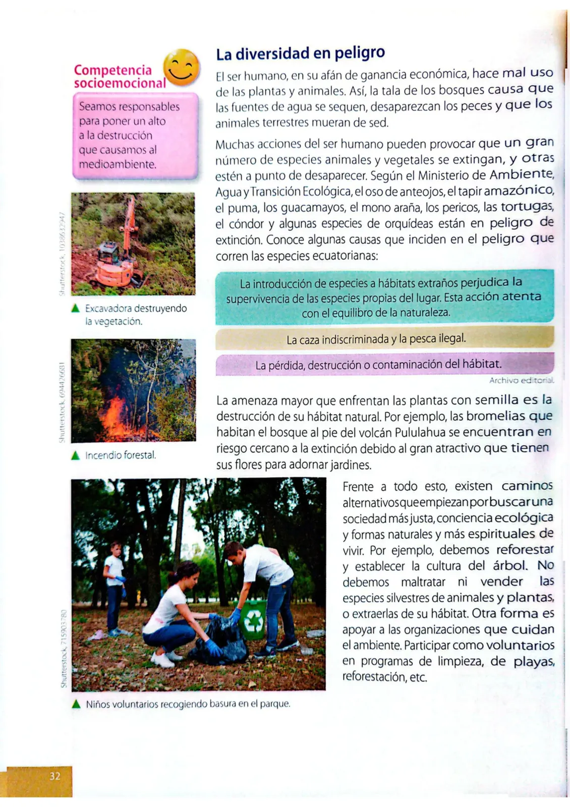 Pág 29