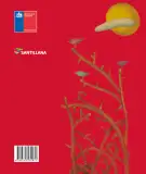 Miniatura página 243 de Lengua y Literatura – Octavo Básico | Texto del Estudiante MINEDUC – Descargar PDF · 2024