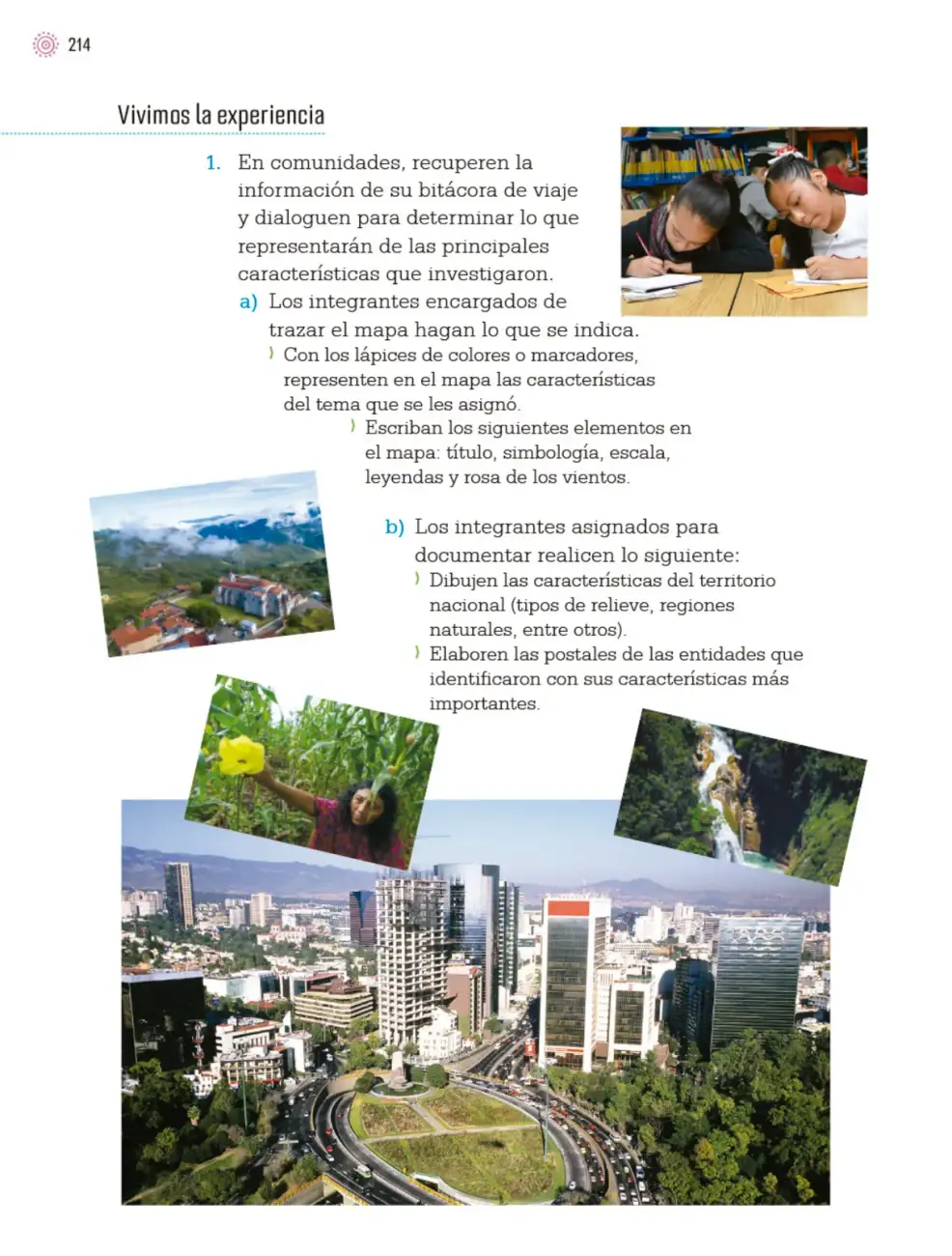 Página 217